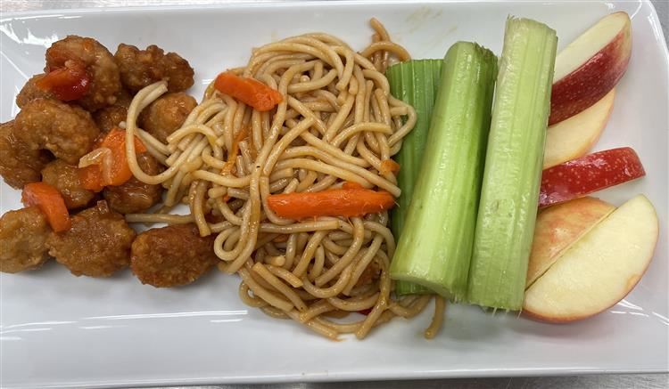 Plate full of chicken, lo mein, celery, carrots, and apple slices